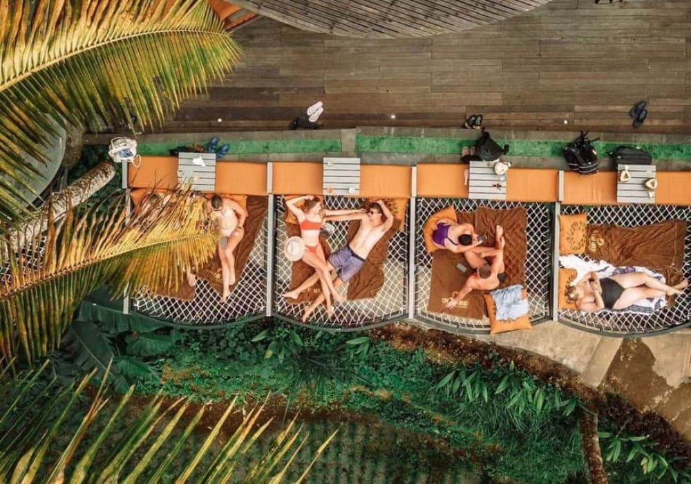 Ubud: Highlights & Cretya Jungle by Alas Arum Day-Tour | ®ExcursionMania