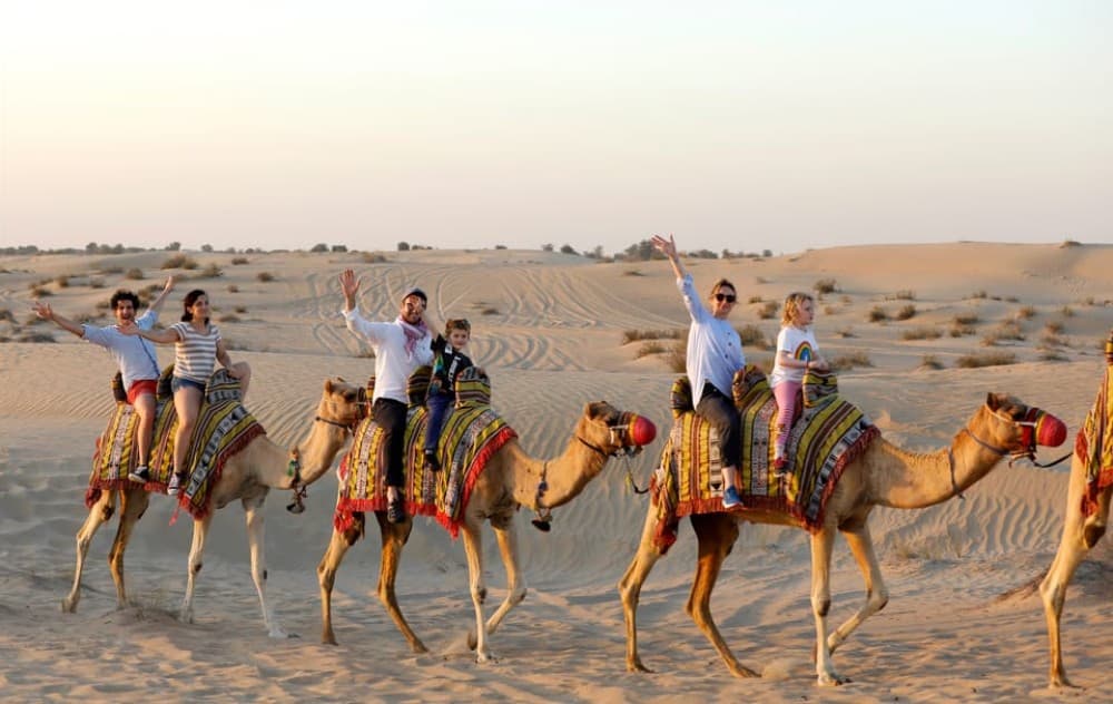 Dubai: Al Marmoom Oasis Arabian Setup, Camels, & VIP Dinner | ®ExcursionMania