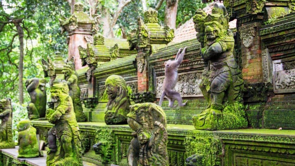 Ubud: Tjampuhan Ridge, Monkey Forest & Art Market Photo Tour | ®ExcursionMania