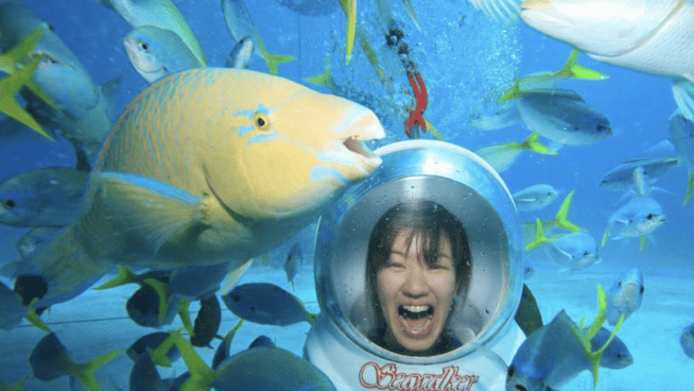 Bali: Underwater Sea Walk, Uluwatu Temple, and Kecak Dance | ®ExcursionMania
