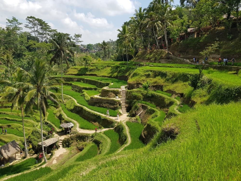 Bali: Mount Batur Sunrise Trekking Experience with Transfer | ®ExcursionMania