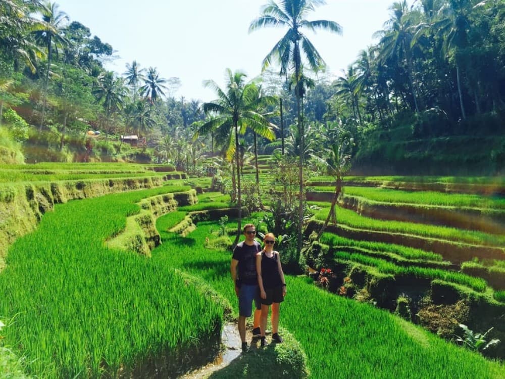 Bali: Leke-Leke Waterfall, Monkey Forest & Jungle Swing Tour | ®ExcursionMania