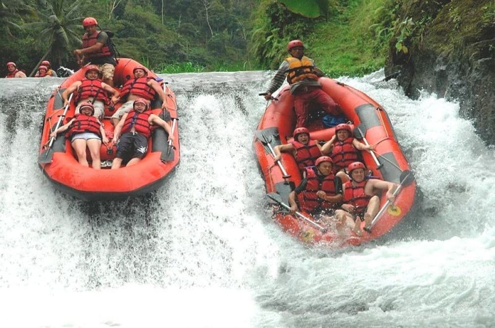 Bali: Ayung River Rafting & Jungle Swing Tour With Transfer | ®ExcursionMania
