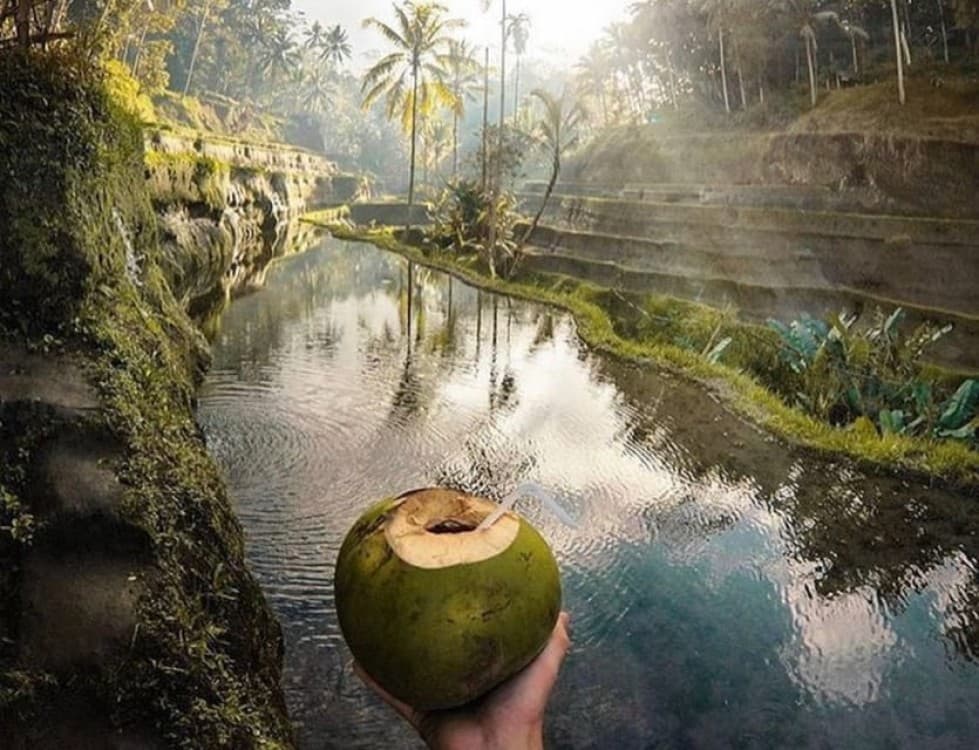 Ubud: Saraswati Temple, Monkey Forest, Art Market, Waterfall | ®ExcursionMania