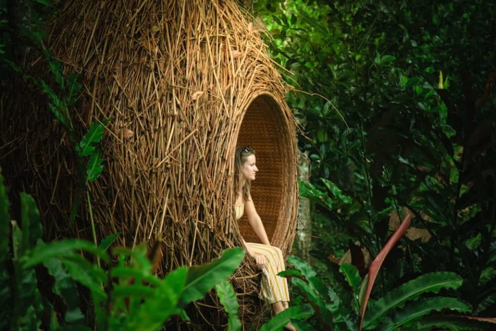 Bali: Monkey Forest, Tegalalang, Uluwatu & Kecak Dance Tour | ®ExcursionMania