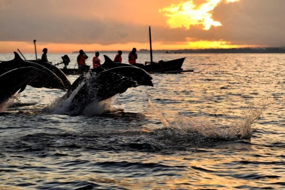 Munduk/Lovina: Waterfall, Snorkeling & Dolphin Watching Tour | ®ExcursionMania
