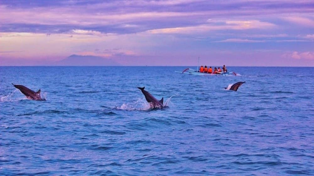 Munduk/Lovina: Waterfall, Snorkeling & Dolphin Watching Tour | ®ExcursionMania
