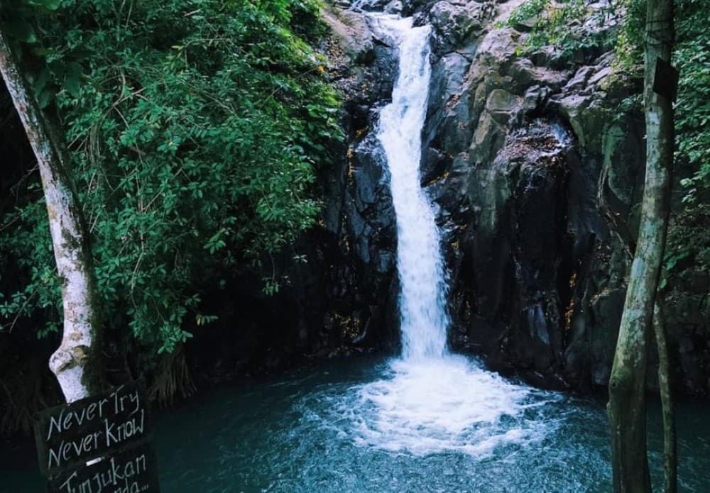Munduk/Lovina: Waterfall, Snorkeling & Dolphin Watching Tour | ®ExcursionMania