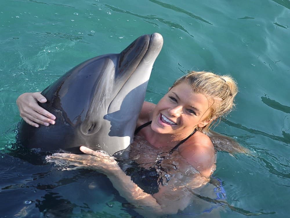 Swim with Dolphins in Bodrum A Magical Adventure | ®ExcursionMania