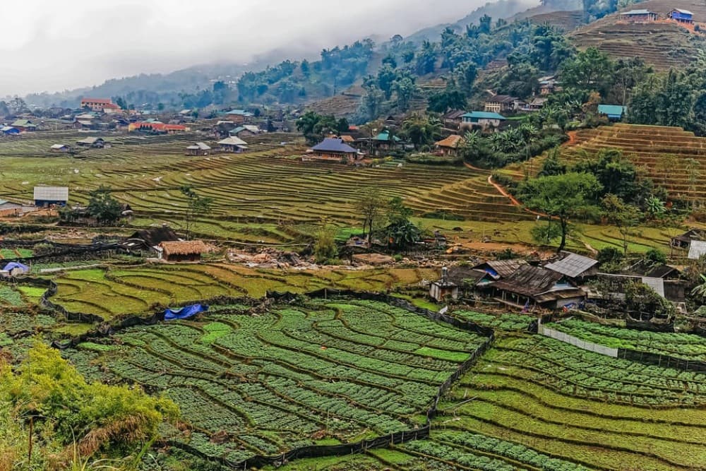 Sapa: 3-Day, 3-Night Trek And Hotel With Overnight Train | ®ExcursionMania