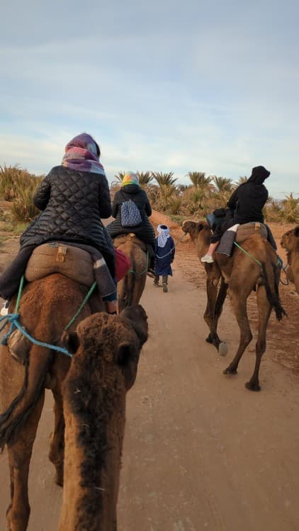 Desert Odyssey: A 2-Day Journey from Marrakech to Zagora | ®ExcursionMania