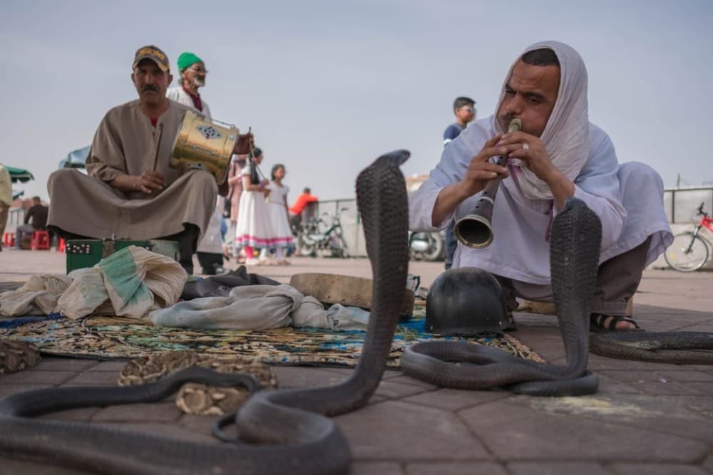 Marrakech: Customized Guided Walking Tour | ®ExcursionMania