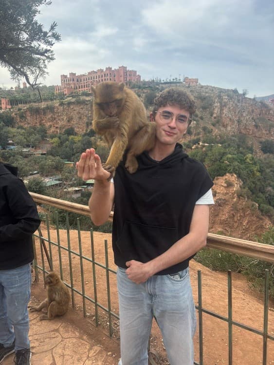 From Marrakech : Day Trip To Ouzoud waterfalls Small Group Tour | ®ExcursionMania