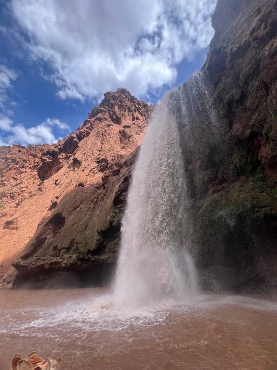 From Marrakech : Day Trip To Ouzoud waterfalls Small Group Tour | ®ExcursionMania
