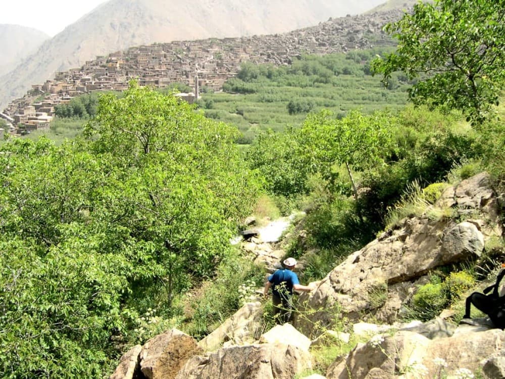 Atlas Mountains & Desert Camel Ride and Waterfall with Guide | ®ExcursionMania