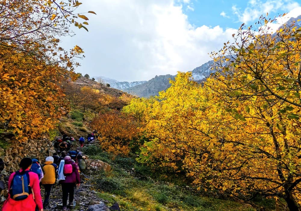 Atlas Mountains & Desert Camel Ride and Waterfall with Guide | ®ExcursionMania
