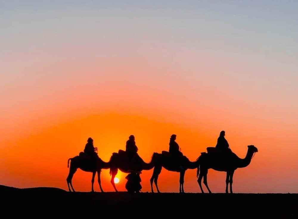 Agafay Desert Quad & Camel Ride With Dinner Show | ®ExcursionMania