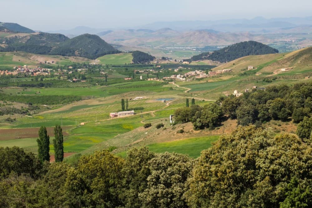 From Fez: Middle Atlas Ifran and Forest of Monkeys Day Trip | ®ExcursionMania