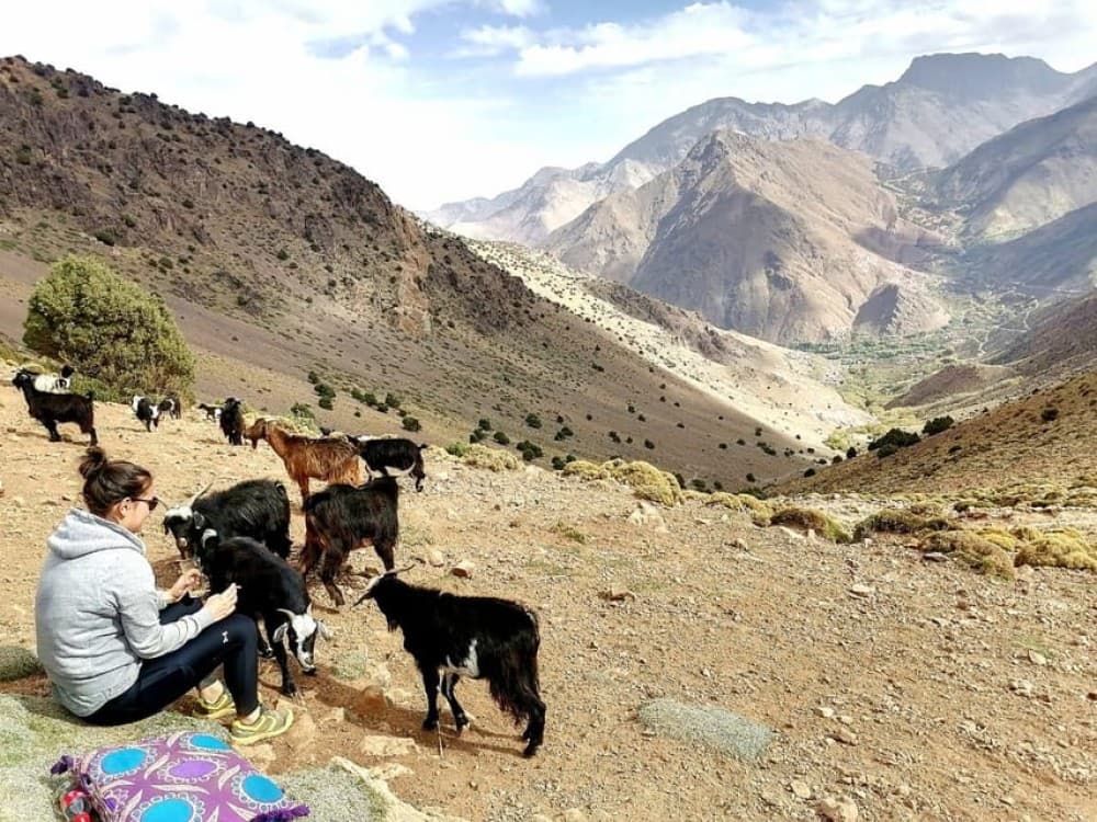 Explore the Atlas 3 Valleys and Desert Camel Ride with Guide | ®ExcursionMania