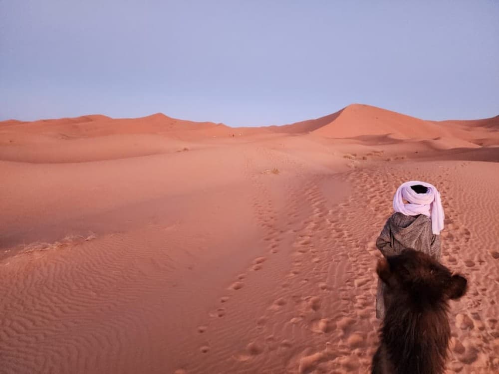 Marrakech to Merzouga: Unforgettable 2-Day Desert in a Small Group | ®ExcursionMania