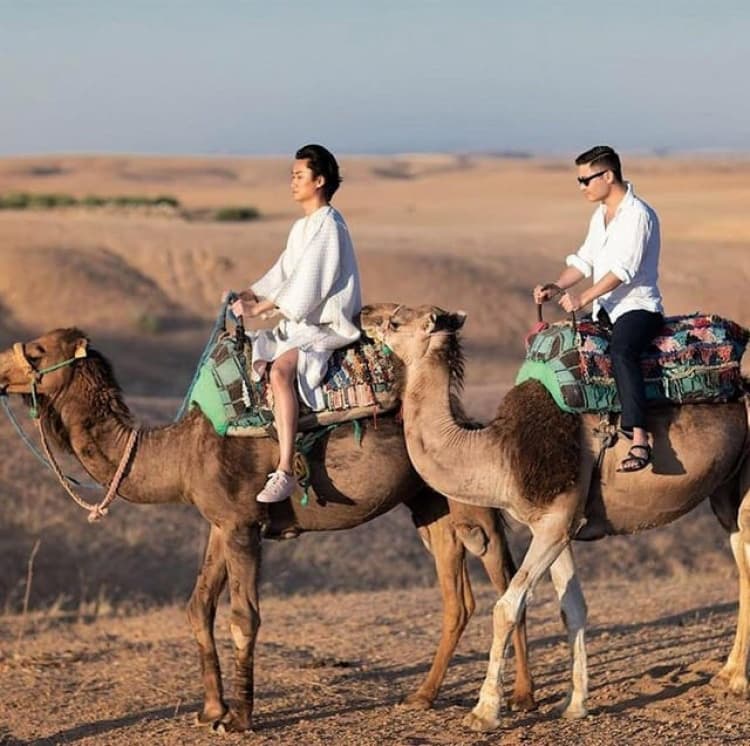 Dinner in Agafay desert from Marrakech & camel riding | ®ExcursionMania