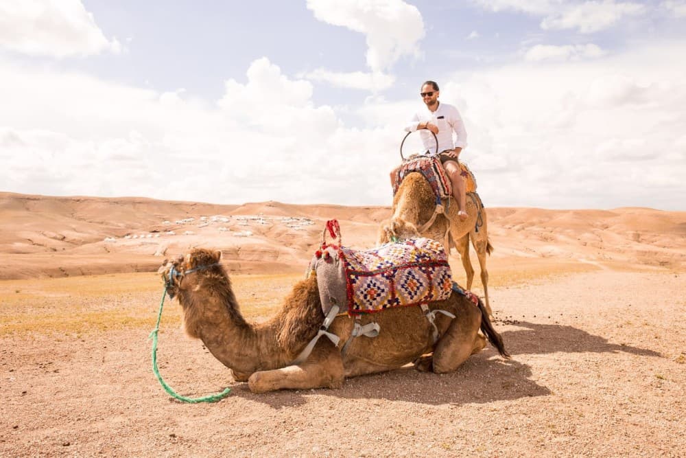From Marrakech: Agafay Desert Horse ride with sunset | ®ExcursionMania