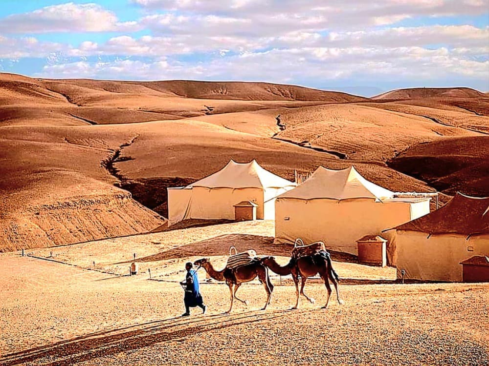 Mystic dinner and camel ride with sunset in Agafay desert | ®ExcursionMania
