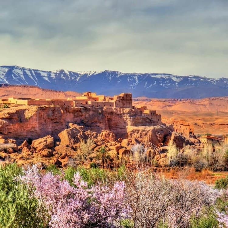Agafay desert & Atlas Mountains full day tour from Marrakech | ®ExcursionMania