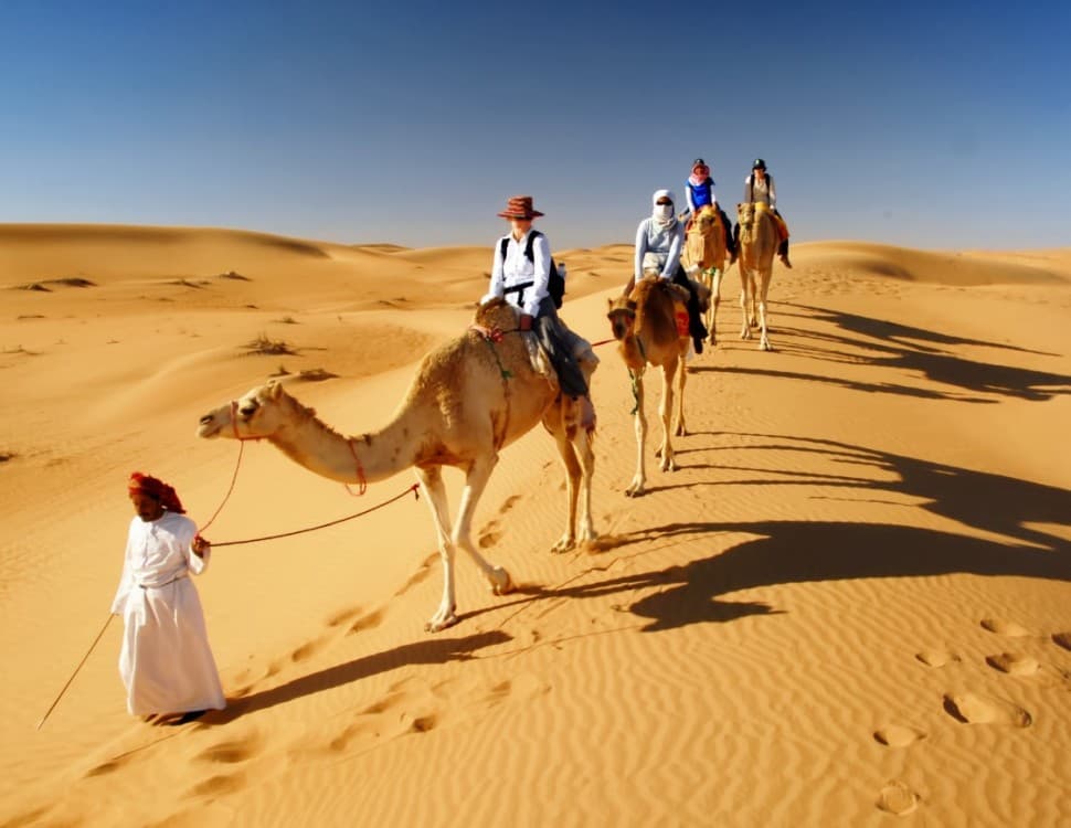 Doha: Desert Safari, Quad Bike & Buggy, Camel Ride | ®ExcursionMania