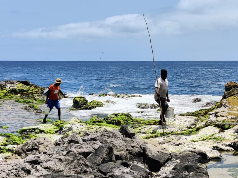 Sal: Island Experience Tour with a Certified Local Guide | ®ExcursionMania