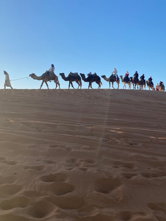 From Casablanca: 10 Day Desert Tour  via the Imperial Cities | ®ExcursionMania