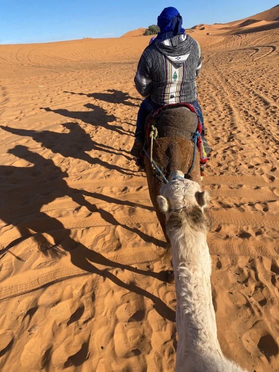 From Casablanca: 10 Day Desert Tour  via the Imperial Cities | ®ExcursionMania