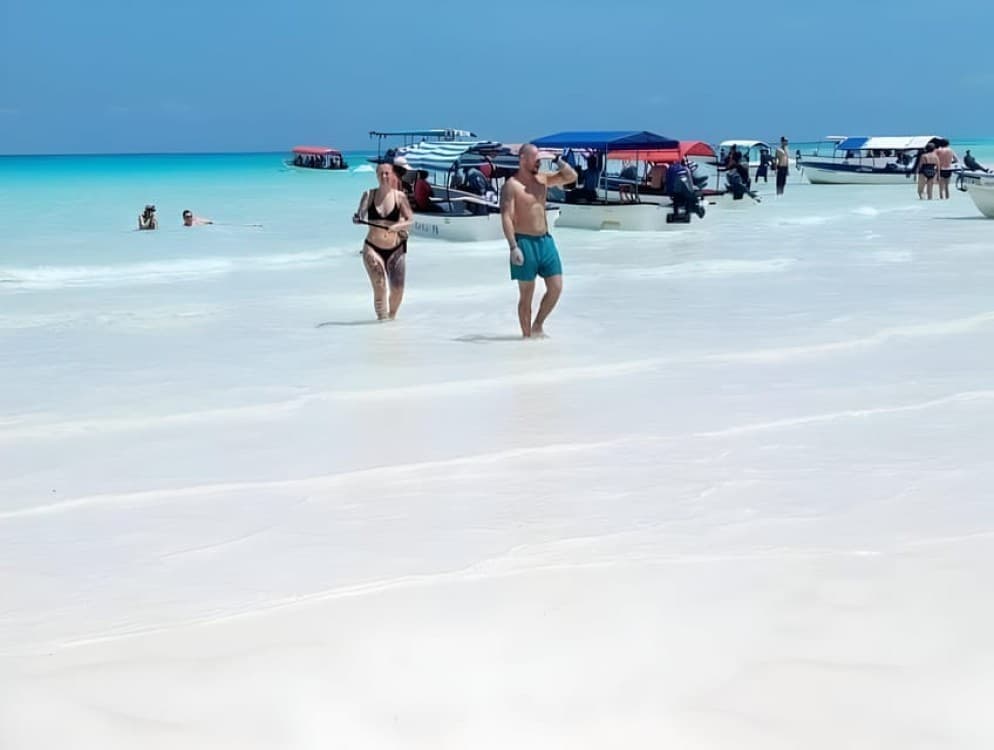 Zanzibar: Mnemba Island Snorkel Trip with Dolphin | ®ExcursionMania