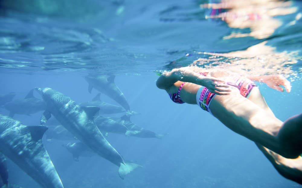 Zanzibar: Mnemba Island Snorkel Trip with Dolphin | ®ExcursionMania