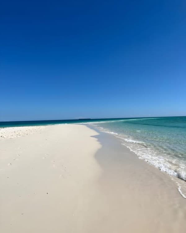 Zanzibar: Private Full-Day Tour with Lunch and Snorkeling | ®ExcursionMania