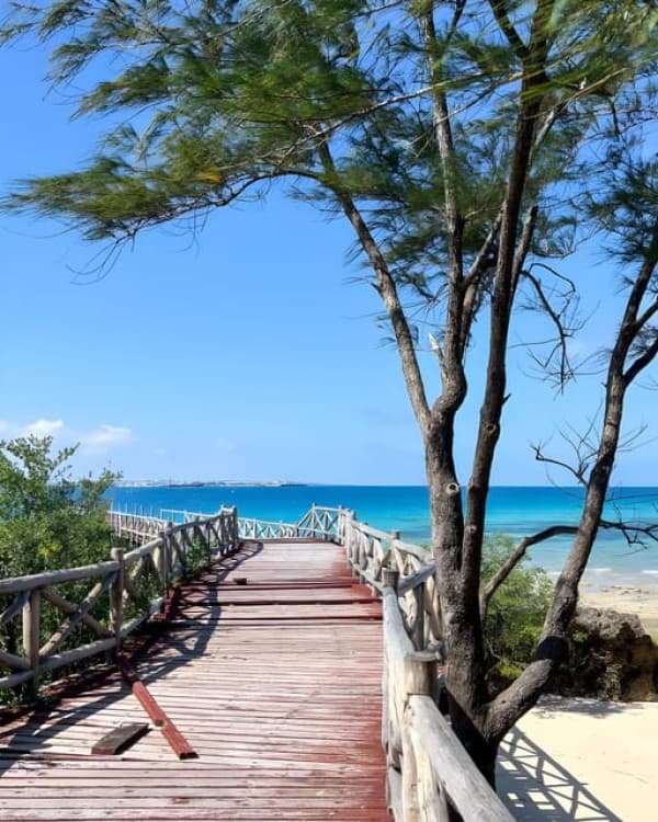 Zanzibar: Private Full-Day Tour with Lunch and Snorkeling | ®ExcursionMania