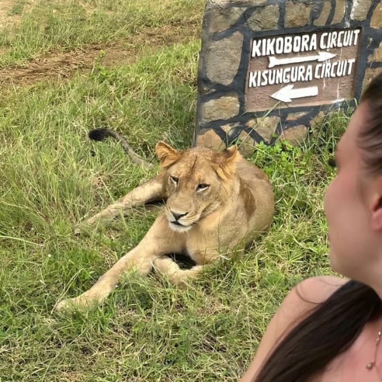 Zanzibar: 3-Day Safari Adventure to Mikumi National Park | ®ExcursionMania