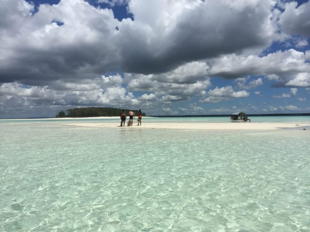Zanzibar: Dolphin Tour, Snorkeling, and Sandbank Trip | ®ExcursionMania