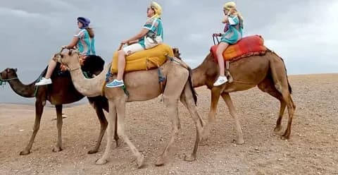 Agafay Desert: Camel Ride, Quad Adventure & Dinner Show from Marrakech | ®ExcursionMania