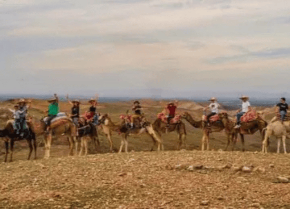 Agafay Desert: Camel Ride, Quad Adventure & Dinner Show from Marrakech | ®ExcursionMania
