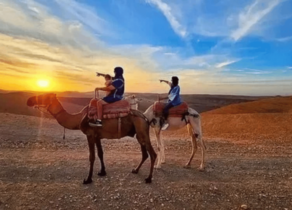 Agafay Desert: Camel Ride, Quad Adventure & Dinner Show from Marrakech | ®ExcursionMania