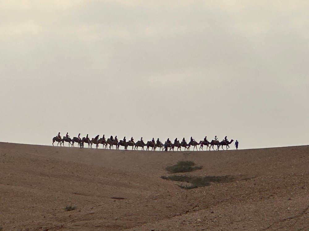 Agafay Desert & Sunset Camel Ride From Marrakech | ®ExcursionMania