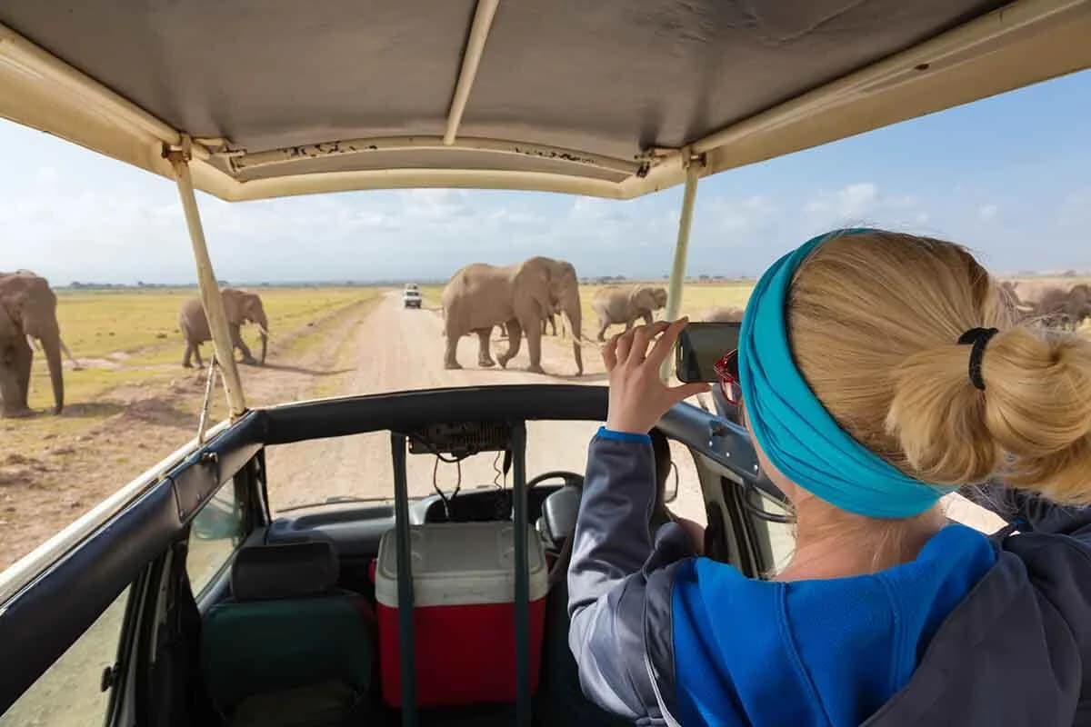 Tsavo East National Park: 2-Day Tour from Mombasa | ®ExcursionMania