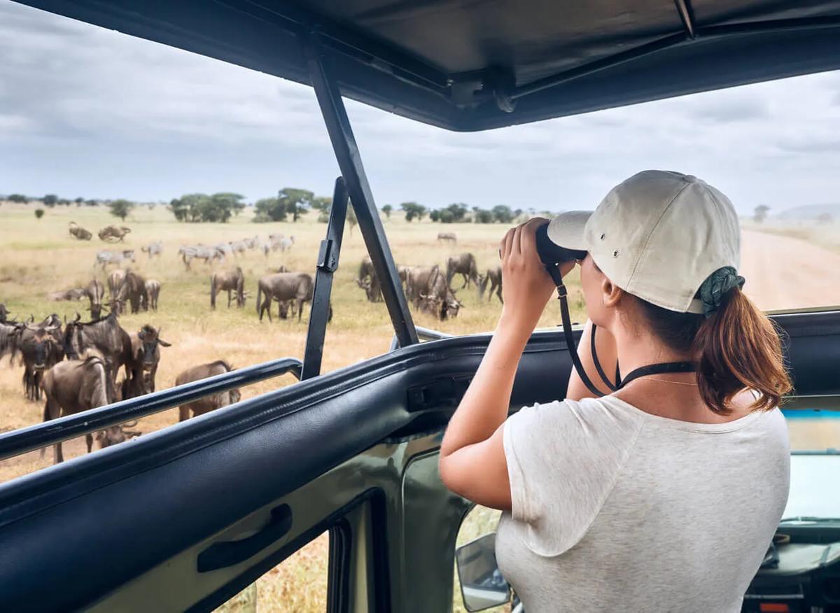 Tsavo East National Park: 2-Day Tour from Mombasa | ®ExcursionMania
