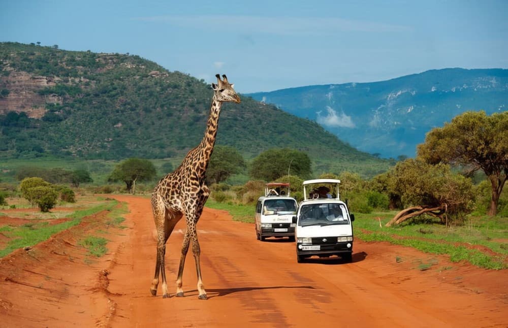 Tsavo East National Park: 2-Day Tour from Mombasa | ®ExcursionMania