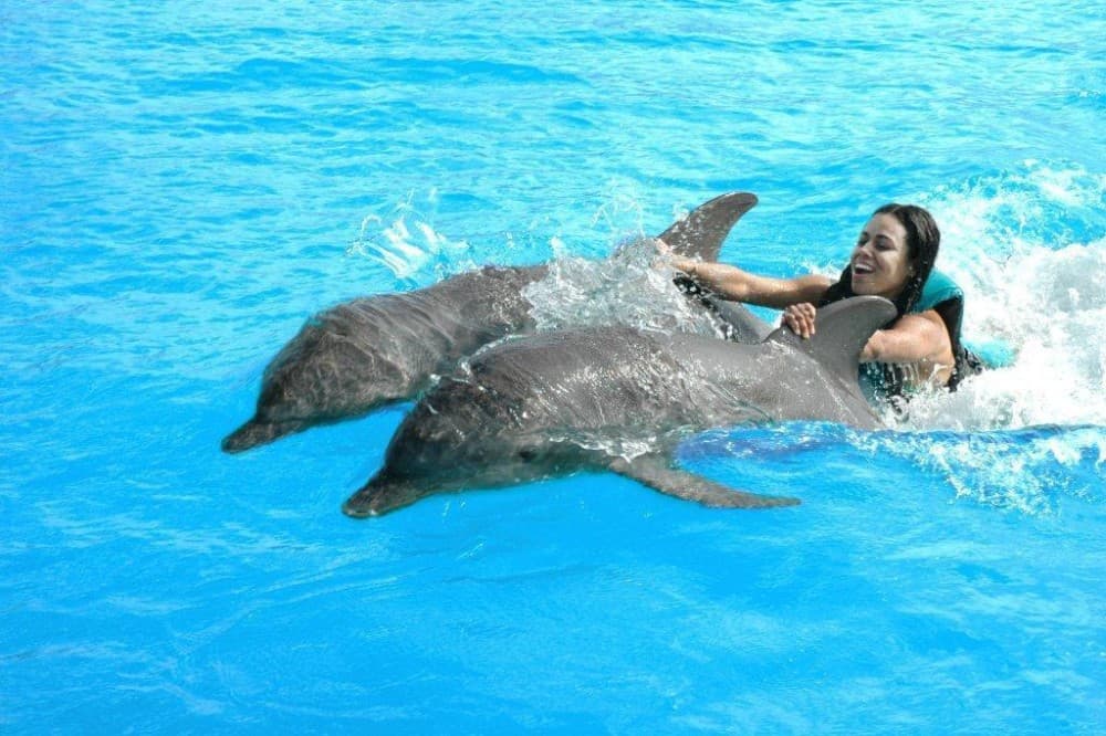 ZANZIBAR DOLPHIN TRIP | ®ExcursionMania