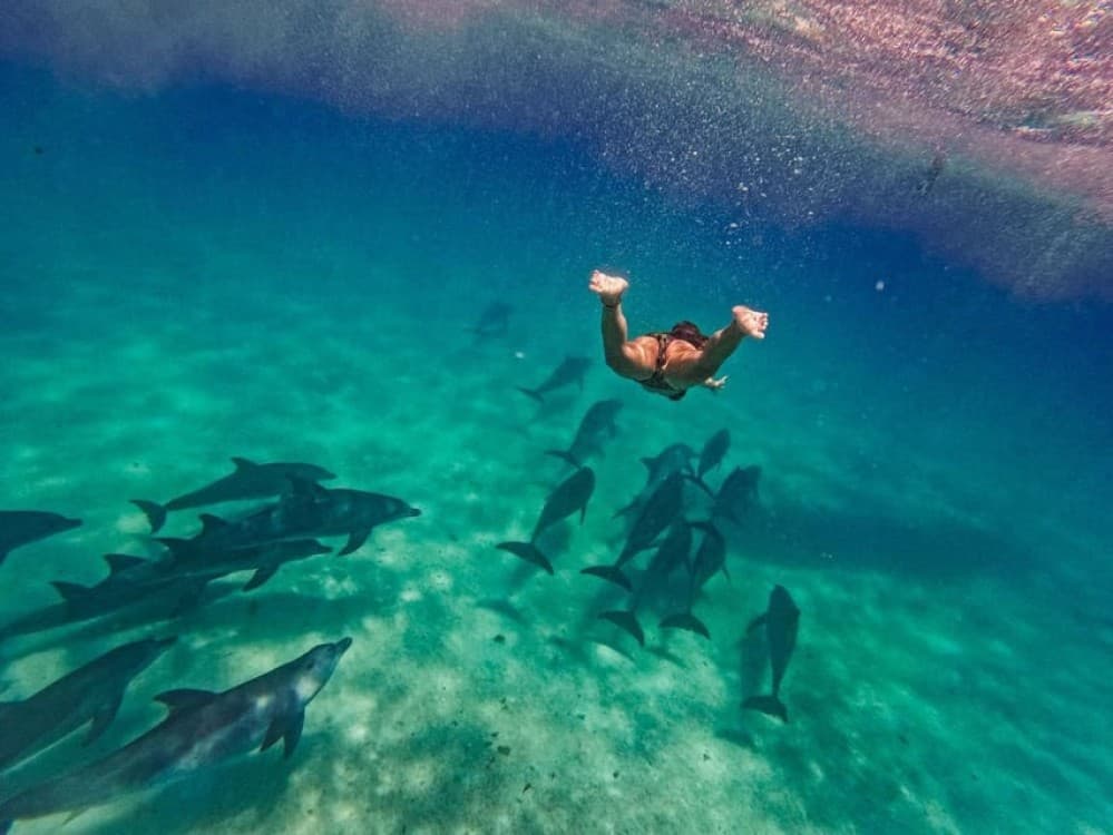 ZANZIBAR DOLPHIN TRIP | ®ExcursionMania