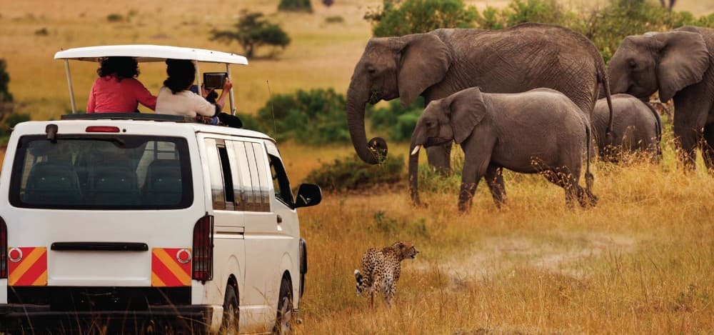 Lake Nakuru National Park Day Tour from Nairobi | ®ExcursionMania