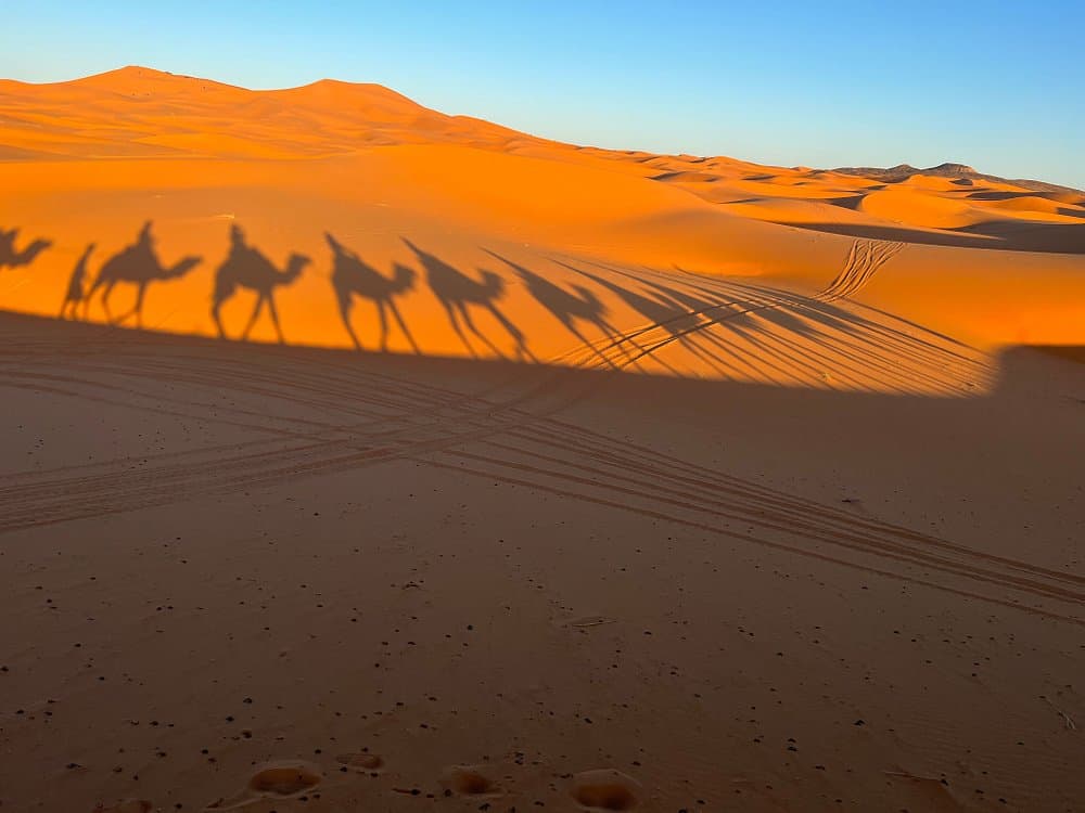 From Marrakech: 4 Days Trip to Chefchaouen via the Sahara & Camel Trek | ®ExcursionMania