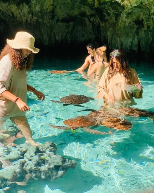 Salam Cave Turles Swimming, Paje Beach , the Rock Restaurant | ®ExcursionMania